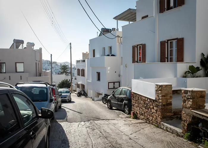 A Short Lemon Tree Naxos City